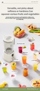 Travel Juicer Blender, Battery Powered Juicer
