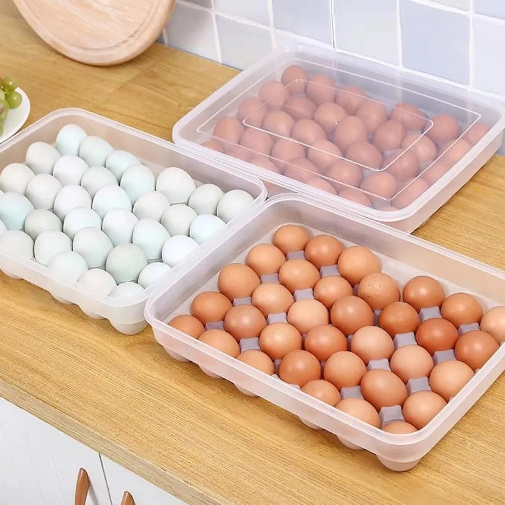 Egg Storage Holder Box 34 Grid