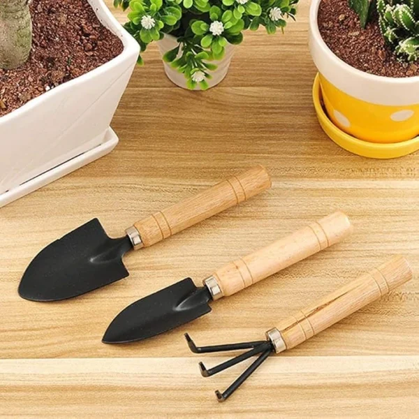 Home gardening tools in Bangladesh