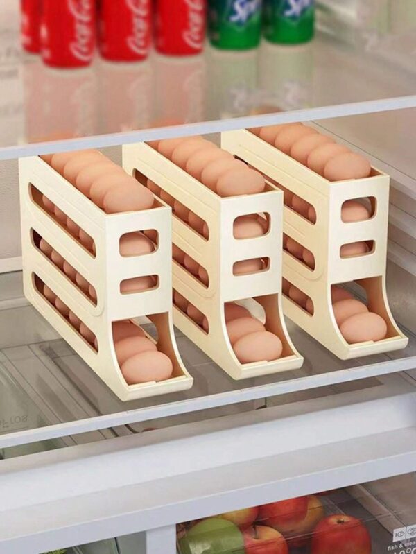 Refrigerator Egg Storage Rack BD